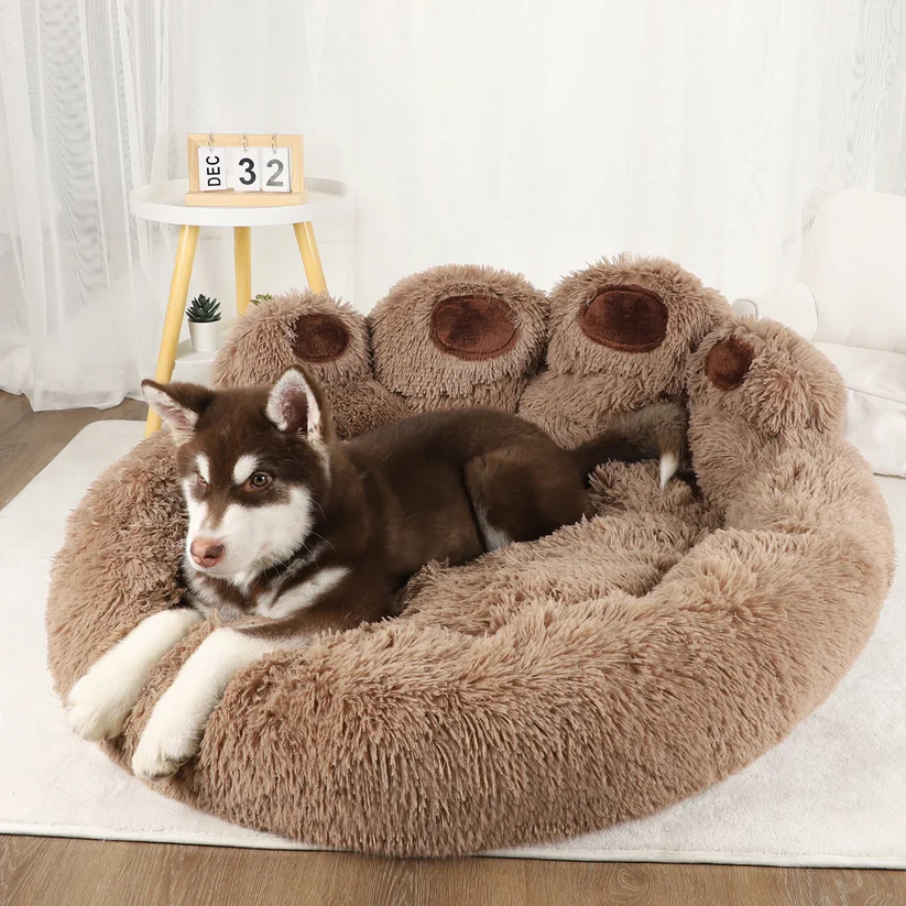 Discover the Perfect Blend of Comfort, Style, and Sustainability for Your Pets