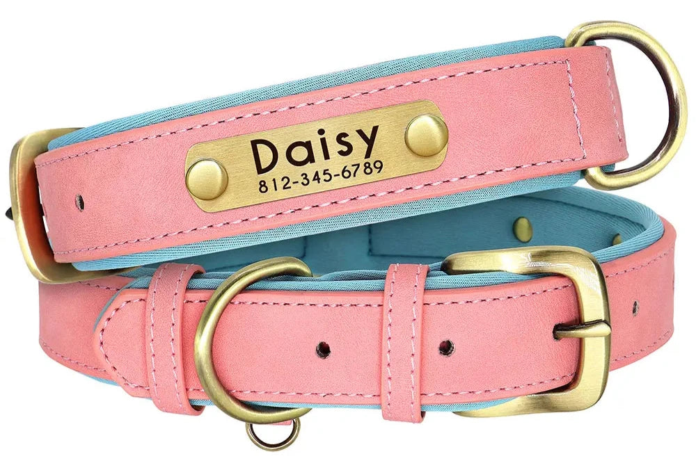 Custom Leather ID Nameplate Dog Collar