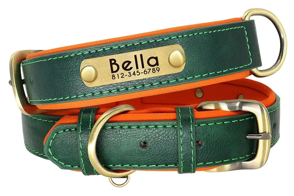 Custom Leather ID Nameplate Dog Collar