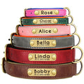 Custom Leather ID Nameplate Dog Collar