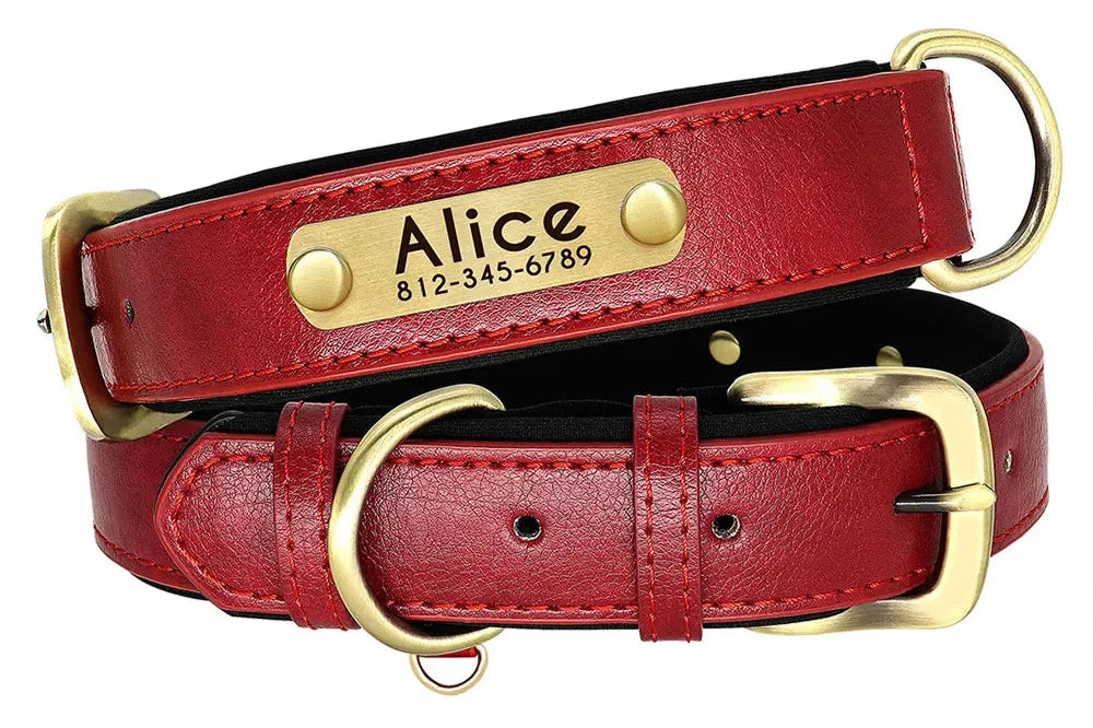 Custom Leather ID Nameplate Dog Collar